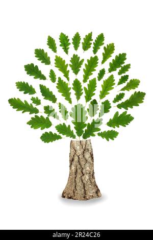 Eichenblätter abstraktes „Go Green“-Logo mit grünen Blättern und Stamm. Ökologisches Designelement für umweltfreundliche Schilder. Stockfoto