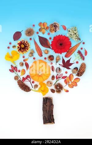 Herbst und Thanksgiving abstraktes Baumdesign mit Blättern, Blumen, Beerenobst, Nüssen, Kürbis und natürlichen Objekten. Surreales Design im Herbst. Stockfoto