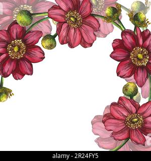 Der Rahmen besteht aus gesättigten rosa Blumen. Eine Anemone. gerber.Aquarelle Abbildung auf weißem Hintergrund hervorgehoben. Geeignet für die Herstellung Stockfoto