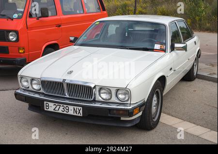 Vorderansicht eines klassischen, weißen Jaguar XJ6 auf der Straße Stockfoto