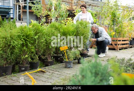 Positives reifes Paar in lässiger Kleidung, das Pflanzen und Sträucher in Töpfen auswählt, während es im Gartencenter einkauft Stockfoto