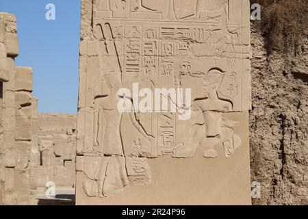 Alte ägyptische Hieroglyphen, die in die Wände des Karnak-Tempels in Luxor, Ägypten, geschnitzt wurden Stockfoto