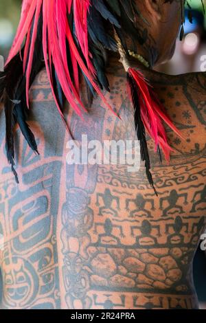 Französisch-Polynesien, Gesellschaftsinseln, Raiatea. Dorfcheif bedeckt mit traditionellen Tattoos. Stockfoto