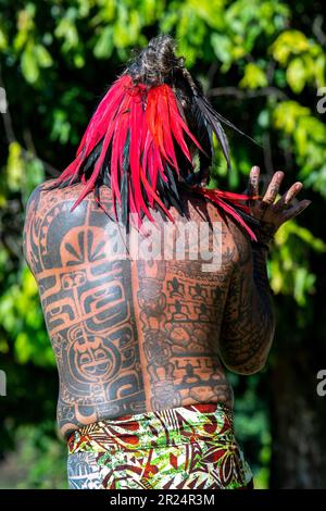 Französisch-Polynesien, Gesellschaftsinseln, Raiatea. Dorfcheif bedeckt mit traditionellen Tattoos. Stockfoto