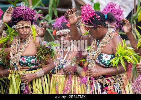 Salomonen, Santa Ana alias Owaraha, Dorf Ghupuna. Traditioneller Willkommenstanz. Stockfoto