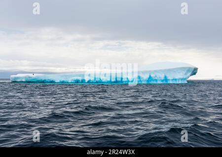 Brown Bluff, Antarktis. Im Antarktis-Sound jagt ein Eisberg aus dem Meer. Stockfoto