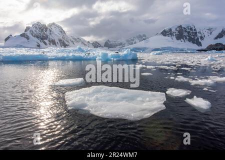 Cuverville, Antarktis. Die zerbrochene Eisscholle im Errera-Kanal. Stockfoto