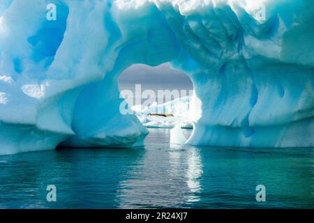 Französische Passage, Antarktis. Durch ein Loch in einem Eisberg in den Gewässern der französischen Passage. Stockfoto