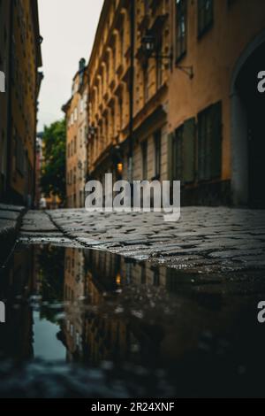 Nahaufnahme einer nassen Pfütze auf der Straße in der Stadt Stockfoto