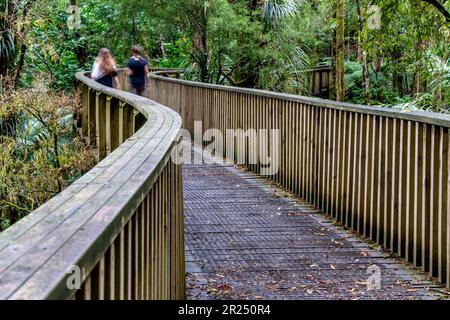 AH Reed Memorial Park, Whangarei, Nordinsel, Neuseeland. Stockfoto