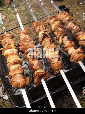 Nahaufnahme: Cooking Meat Barbecue On The Coal Im Camping Park, Wald. Fleisch, Zwiebelringe Auf Spießen. Keine Verschwendung Gesundes Essen Picknick Im Sommer Stockfoto