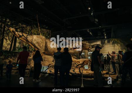 DRUMHELLER, ALBERTA, KANADA - 2023. Mai Besucher am Haupteingang des Royal Tyrrell Museum of Palaeontology in Alberta. Hochwertiges Foto Stockfoto