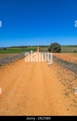 Landstraße im spanischen Landleben unter landwirtschaftlichen Feldern. Navarra, Spanien Stockfoto