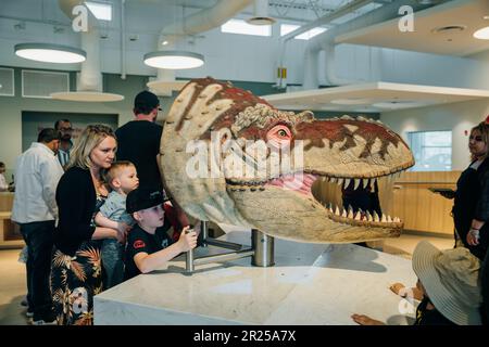 Drumheller, Kanada - 2023. März besuchen Besucher die Dinosaurierausstellungen am Eingang des Royal Tyrrell Museum. Hochwertiges Foto Stockfoto