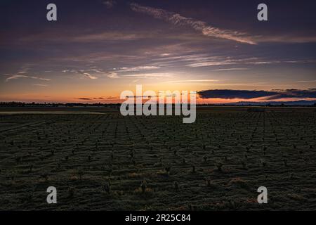 Faszinierende orangefarbene Dämmerung über den grünen Feldern des Po-Tals, einem ländlichen Paradies in Norditalien Stockfoto