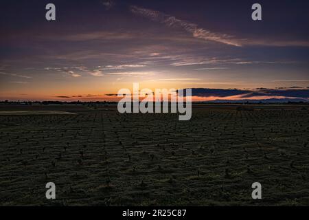 Faszinierende orangefarbene Dämmerung über den grünen Feldern des Po-Tals, einem ländlichen Paradies in Norditalien Stockfoto