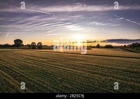 Atemberaubende orangefarbene Sonnenuntergänge über üppigen Feldern im Po-Tal, Norditaliens fruchtbarer Landschaft Stockfoto