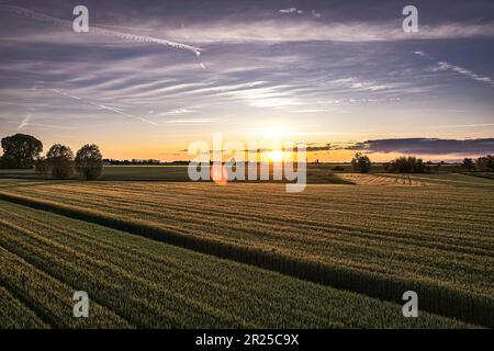 Atemberaubende orangefarbene Sonnenuntergänge über üppigen Feldern im Po-Tal, Norditaliens fruchtbarer Landschaft Stockfoto