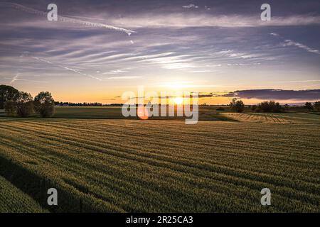 Atemberaubende orangefarbene Sonnenuntergänge über üppigen Feldern im Po-Tal, Norditaliens fruchtbarer Landschaft Stockfoto