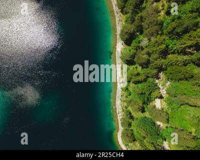 Blick von oben auf das Eibsee-Ufer in den bayerischen alpen. Wilder Nadelwald an der Ufergrenze. Wunderschöne sommerliche ruhige Atmosphäre Stockfoto
