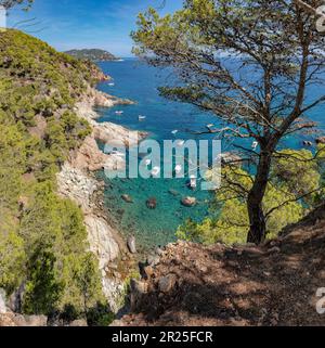 Kleine Boote, die in einer Bucht namens Cala del Crit festgemacht sind *** Lokale Beschriftung *** Calella de Palafrugell, Spanien, Landschaft, Wasser, Bäume, Sommer, Berge, Stockfoto