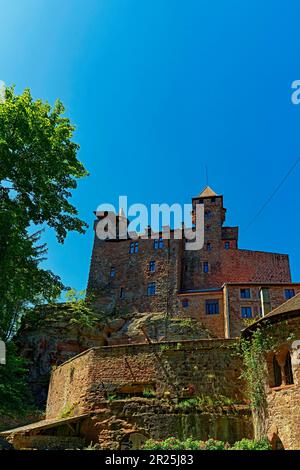 Burg Berwartstein Stockfoto