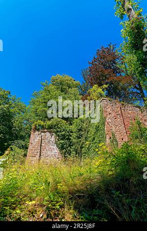 Burg Berwartstein Stockfoto