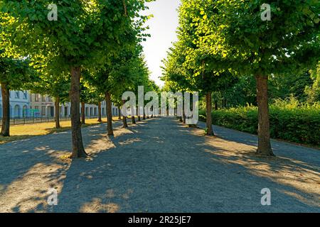 Schlosspark, Schloss Karlsruhe, Allee Stockfoto