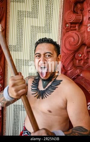 Die Zunge herauszuhalten, auch bekannt als Pukana, ist ein traditioneller Gesichtsausdruck und eine Geste, die von kultureller Bedeutung Māori. Die Bedeutung und der Kontext, in dem die Zunge herausgerissen wird, können je nach Situation und Absicht der Aktion variieren. Stockfoto