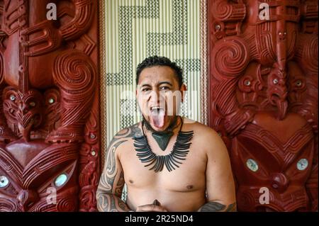 Die Zunge herauszuhalten, auch bekannt als Pukana, ist ein traditioneller Gesichtsausdruck und eine Geste, die von kultureller Bedeutung Māori. Die Bedeutung und der Kontext, in dem die Zunge herausgerissen wird, können je nach Situation und Absicht der Aktion variieren. Stockfoto