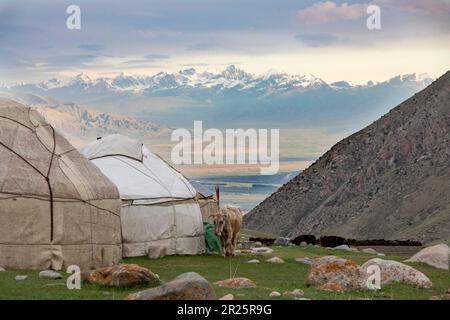 Kirgisische traditionelle Jurten in einem hohen Bergtal nahe Kol-Ukok im Tian Shan-Gebirge Kirgisistans bei Sonnenaufgang. Stockfoto