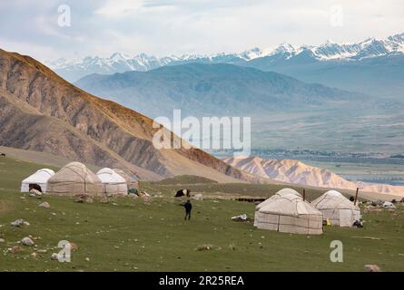 Kirgisische traditionelle Jurten in einem hohen Bergtal nahe Kol-Ukok im Tian Shan-Gebirge Kirgisistans bei Sonnenaufgang. Stockfoto