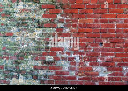 Geschlossener Blick auf eine alte birck-Mauer. Stockfoto