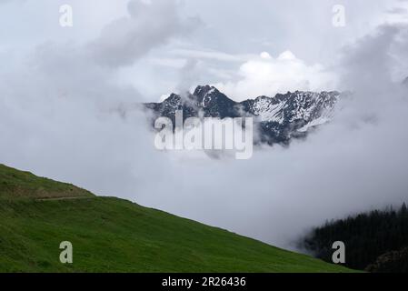 Eine Wanderung bei Regen und Nebel. Wandern durch die Berge bei schlechtem Frühlingswetter. Eine neblige Landschaft ist ein natürliches Erlebnis. Stockfoto