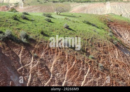 Farbige Berge im Khizi-Viertel, Aserbaidschan. Die Farben des Berges sind auf seine mineralogische Zusammensetzung zurückzuführen. Stockfoto