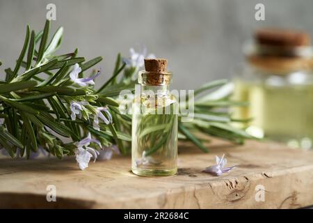 Eine Flasche ätherisches Aromatherapie-Öl mit frisch blühender Rosmarinpflanze Stockfoto