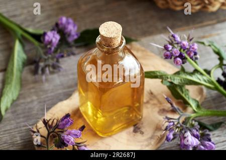 Eine durchsichtige Flasche Kräutertinktur mit frisch blühendem Beinkraut oder Smphytum-Pflanze Stockfoto