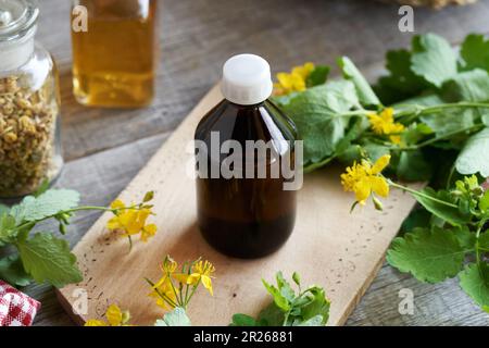 Eine dunkle Flasche mit Coelandintinktur mit frisch blühender Tettermaische Stockfoto