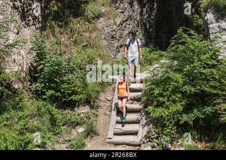 Zwei junge Wanderer mit Rucksäcken, ein Paar, das die Natur liebt Stockfoto
