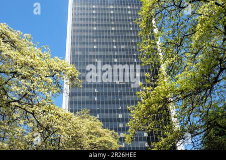 Spring Skytrain Stationen Burrard Station nach Kirschblüten gegen den Baum blühten gerade am blauen Himmel Vancouver Canada 2023 Stockfoto