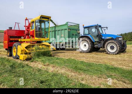 Kilbrittain, West Cork, Irland. 17. Mai 2023. Noel O'Donovan zieht Silage für den Farmer Tim O'Connell, der Milch, Rindfleisch und Bodenbearbeitung anbaut, und verwendet seinen 1976 New Holland 1895 Crop Cruiser Forage Harvester, den er selbst restaurierte. Kredit: AG News/Alamy Live News Stockfoto