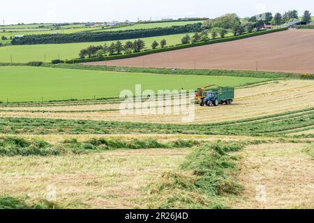 Kilbrittain, West Cork, Irland. 17. Mai 2023. Noel O'Donovan zieht Silage für den Farmer Tim O'Connell, der Milch, Rindfleisch und Bodenbearbeitung anbaut, und verwendet seinen 1976 New Holland 1895 Crop Cruiser Forage Harvester, den er selbst restaurierte. Kredit: AG News/Alamy Live News Stockfoto