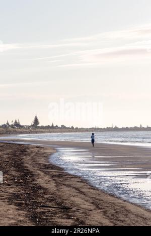 Eine Frau am Waikanae Beach, Kapiti, am frühen Abend, ging Richtung Süden in Richtung Paraparaumu. Stockfoto