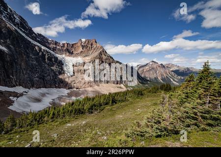 Wiesen mit Tannenwald, die steile Berge voraussehen, die steil ins Tal fallen. Klarer blauer Himmel, windig, mit ein paar weißen Wolken, in Banff Nati Stockfoto