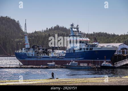 MOWI Canada West's Aqua Tromoy wird für umweltfreundliche Gesundheitsbehandlungen von Fischen und für die Verbringung von Fischen von einem Gebiet zum anderen, Port Hardy, verwendet. Stockfoto