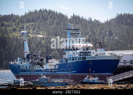 MOWI Canada West's Aqua Tromoy wird für umweltfreundliche Gesundheitsbehandlungen von Fischen und für die Verbringung von Fischen von einem Gebiet zum anderen, Port Hardy, verwendet. Stockfoto