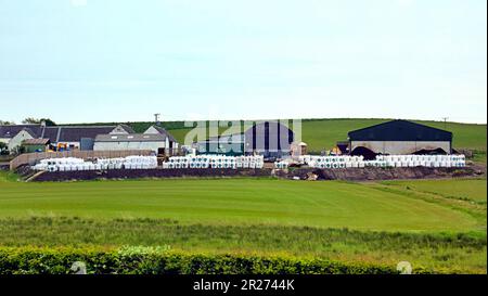 Schild zum Flughafen glasgow Stockfoto