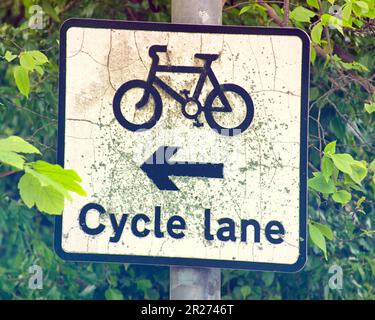 Fahrradspurzeichen in Baumstruktur Stockfoto