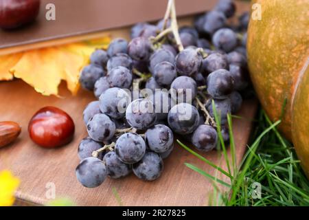 Köstliche Trauben und Kastanien auf Holzbrettern im Freien, Nahaufnahme. Herbsternte Stockfoto