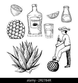 Handgezeichnete Illustration im Retro-Stil mit Gravur. Tequilaflasche, Agave, Wurzel, Schnapsglas und Zutaten. Schwarzweiß-Vektorskizze. Stock Vektor